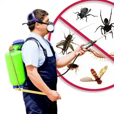pest control DeLisle